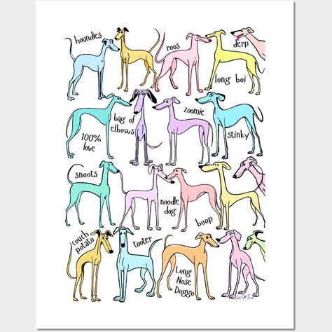 A glorious gang of gorgeous greyhounds! 19 adorable funny sighthounds and some cute hound specific language. A greyt group for all greyhound dog, galgo, whippet or iggy lovers. AI and digital art design. -- Choose from our vast selection of art prints and posters to match with your desired size to make the perfect print or poster. Pick your favorite: Movies, TV Shows, Art, and so much more! Available in mini, small, medium, large, and extra-large depending on the design. For men, women, and chil Whippet Illustration, Italian Greyhound Art, Whippet Art, Greyhounds Funny, Whippet Puppies, Greyhound Adoption, Most Beautiful Dogs, Greyhound Art, Greyhound Dog