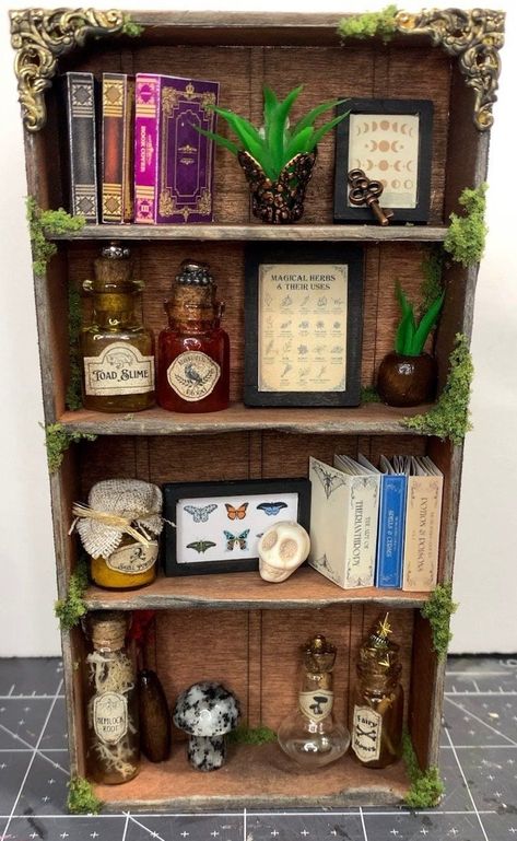 DIY KIT | Miniature Fairy Witch Bookshelf Kit | DIY Miniature Bookshelf | Dollhouse Miniatures | Miniature Apothecary Shelf Witch Bookshelf, Bookshelf Dollhouse, Apothecary Shelf, Miniature Apothecary, Miniature Bookshelf, Dollhouse Bookshelf, Mini Bookshelf, Fairy Witch, Magical Decor