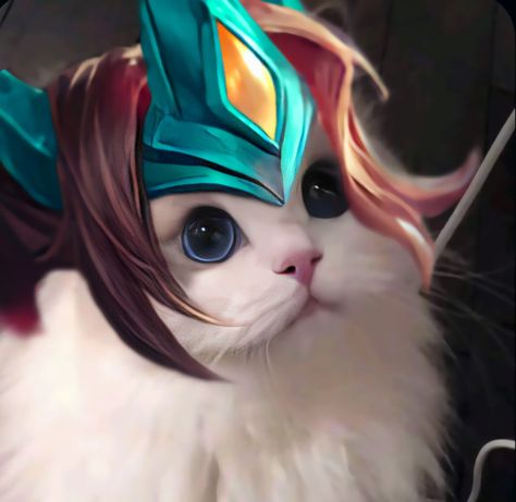 𝑴𝒍𝒃𝒃 𝒄𝒂𝒕 Mlbb Zilong Wallpaper, Mlbb Cat Pfp, Zilong Mobile Legends Wallpaper, Zilong Wallpaper, Mlbb Cat Icon, Pp Mobile Legend, Zilong Mobile Legends, Zilong Mlbb, Mobile Legends Icon