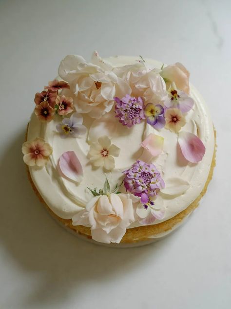 Lemon Olive Oil Cake with Lavender Buttercream - Coco et sel Cake With Lavender, Lavender Buttercream, Lemon Olive Oil Cake, Lavender Cake, Lime Cake, Bake Cakes, Beautiful Villa, Oil Cake, Lemon Olive Oil