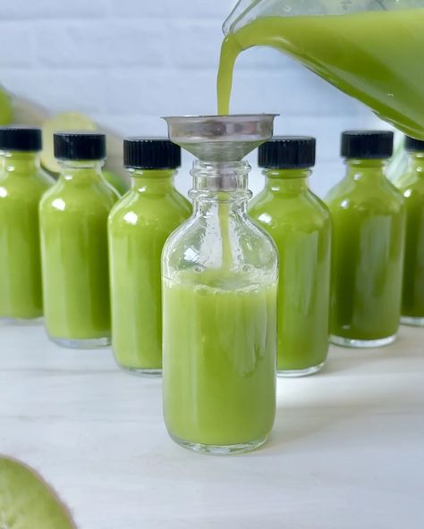 Green Wellness Shots - Claire Bear Bites Green Wellness Shots, Green Shots, Health Juice Recipes, Healthy Smoothies For Kids, Fresh Juice Recipes, Green Shot, Healthy Juice Drinks, Plantbased Recipes, Wellness Shots