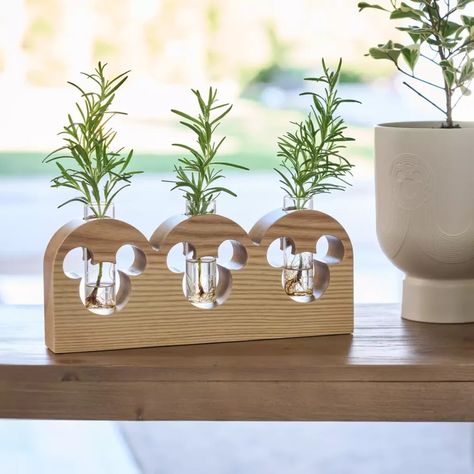 Decorate In Disney Style With The Home Collection! - Decor - Plant Propagation Station, Mickey Decorations, Mickey Mouse House, Disney Kitchen Decor, Disney Minimalist, Mickey Mouse Icon, Mickey Mouse Kitchen, Mickey Mouse Toys, Mickey Mouse Decorations