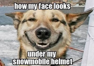 Snowmobiling Humor, Snowmobile Helmets, Poor Dog, Ski Doo, One Million, Reading Time, Twisted Humor, Snowmobile, Sled