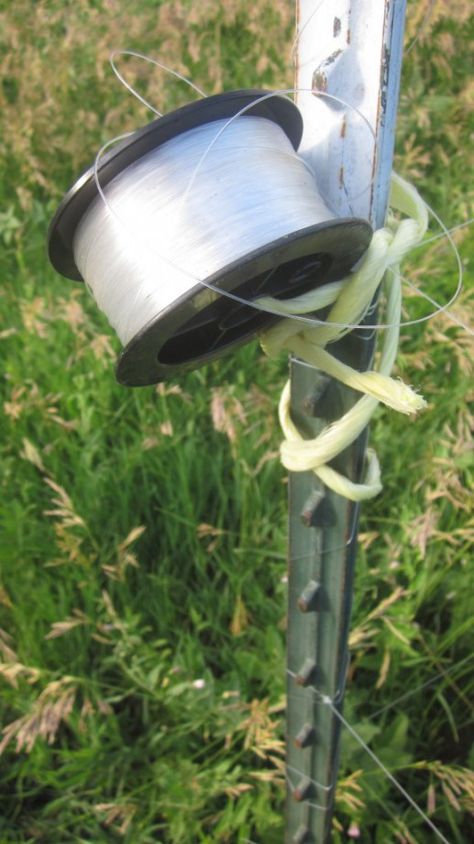 I keep my extra fishing line where I can grab it easily, tied to one of the t-posts in my deer fencing. Garden Deer Protection, Deer Fencing, Fence Trees, Deer Proof, Home Fencing, Garden Fences, Country Fences, Fence Stain, Deer Fence