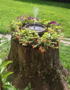 a lovely tree stump fountain Tree Stump Bird House, Tree Stump Fountain, Tree Stump Garden, Tree Stump Ideas, Stump Garden, Stump Decor, Sloped Front Yard, Tree Stump Decor, Rustic Outdoor Spaces