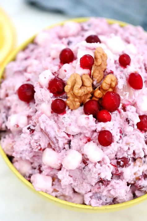 Millionaire Cranberry Salad is the perfect sweet side dish or dessert to serve on Thanksgiving! #thanksgiving #cranberries #salad #millionairecranberrysalad #sweetandsavorymeals Millionaire Salad Recipe, Millionaire Salad, Thanksgiving Cranberries, Cranberries Salad, Cranberry Salad Recipes, Walnut Chicken Salad, Cranberry Fluff, Cranberry Fudge, Fluff Salad Recipes