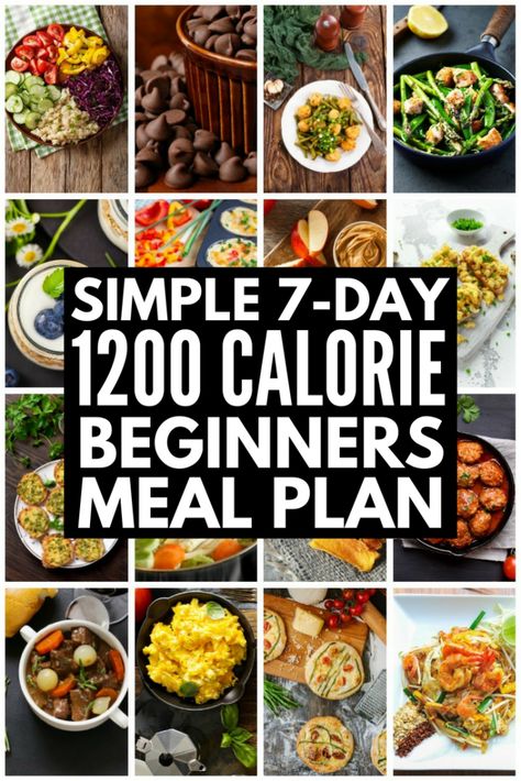 Low Carb 1200 Calorie Diet Plan: 7-Day Meal Plan for Serious Results 1200 Calorie Diet Plan, Quick Diet, 1200 Calorie, 7 Day Meal Plan, Beginner Meal Planning, Low Carb Diet Plan, Calorie Meal Plan, 1200 Calories, Best Diet Plan