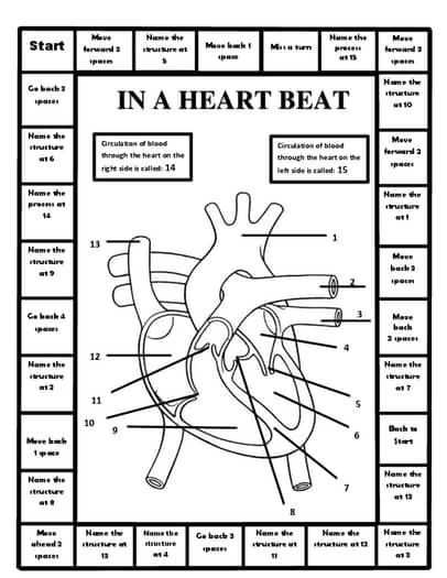 BODY SYSTEMS GAMES by Merry in the Middle | TPT Anatomy Games For High School, Systems Of The Body Anatomy, Brain Mapping Ideas, Human Body Systems Projects, Body Systems Project, Biology Worksheet, Middle School Science Classroom, Biology Classroom, 7th Grade Science