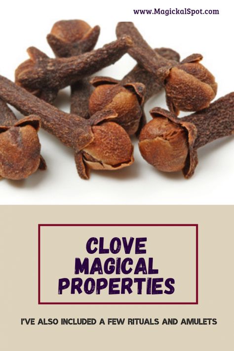 Orange Magical Properties, Clove Plant, Herbs Witchcraft, Cloves Benefits, Cloves Spice, Witchcraft Herbs, Magickal Herbs, Magic Herbs, Green Magic