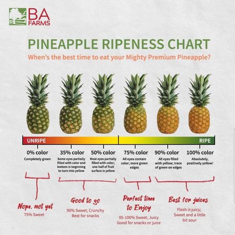 How To Pick The Best Fruit, How To Pick Pineapple, Fruit Ripeness Chart, How To Pick A Pineapple, Pineapple Ripeness, Pineapple Facts, Chef Kitchens, Food Saver Hacks, Amazing Food Hacks