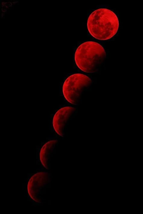 Dark Goth Aesthetic, Red Aesthetic Grunge, Red And Black Wallpaper, Dark Red Wallpaper, Dark World, Witchy Wallpaper, Red Icons:), The Dark World, Red Moon