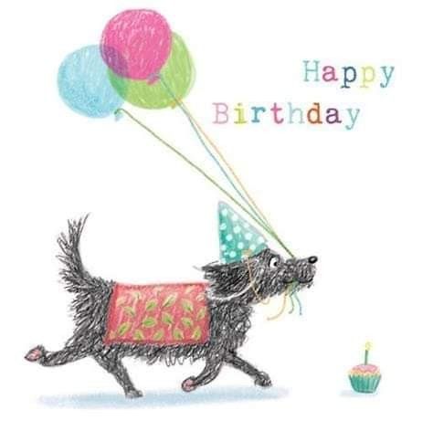 Happy Birthday Dog Lover, Greeting Cards Happy Birthday, Cards Happy Birthday, Happy Birthday Kids, Happy Birthday Dog, Congratulations Greetings, Husky Pics, Cat And Dog Videos, Birthday Dog