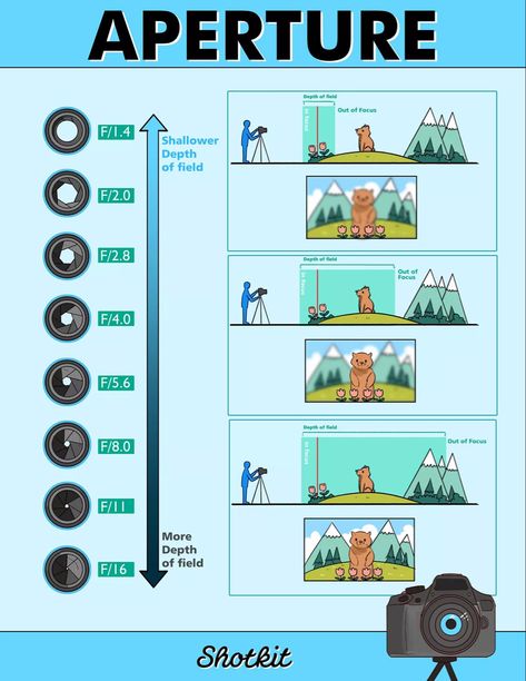 Aperture Depth Of Field, Beginner Photography Camera, F Stop, Camera Basics, Manual Photography, Aperture And Shutter Speed, Photography Settings, Photography Cheat Sheets, Photography Basics