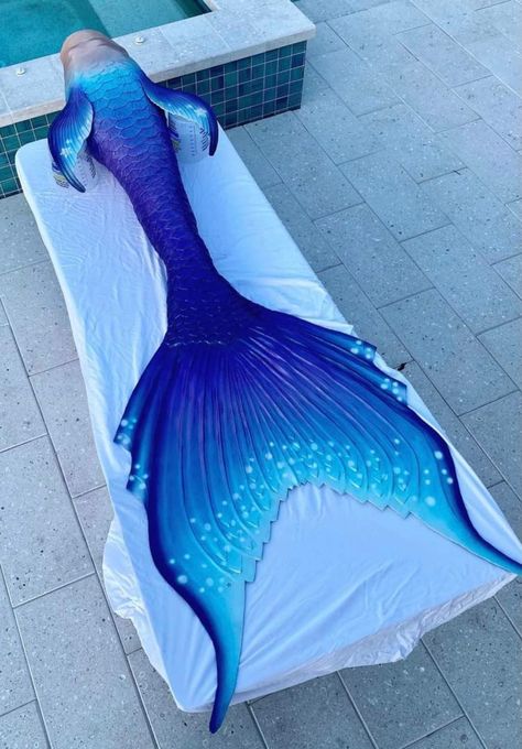 Finfolk Mermaid Tails Blue, Silicon Mermaid Tails, Fabric Mermaid Tail, Blue Mermaid Tail Aesthetic, Dark Blue Mermaid Tail, Siren Tail Aesthetic, Finfolk Mermaid Tails, Mermaid Tail Aesthetic, Mermaid Tail Blue