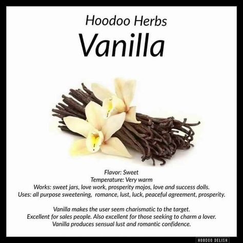 Hoodoo Delish, Hoodoo Conjure Rootwork, Hoodoo Rootwork, Paralysis Demon, Hoodoo Magic, Hoodoo Conjure, Hoodoo Spells, Magickal Herbs, Witch Herbs