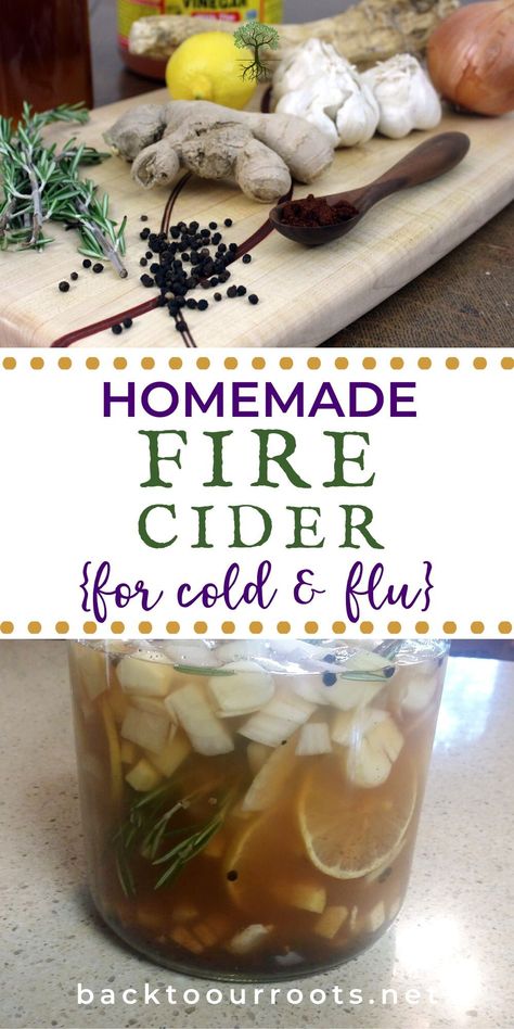 Naturally support your immune health with homemade Fire Cider. Easy to make and easy to store. Make some today! Cider Recipes, Fire Cider Recipe, Spicy Drinks, Fire Cider, Cider Recipe, Cold Sores Remedies, How To Make Fire, Herbal Recipes, Natural Healing Remedies