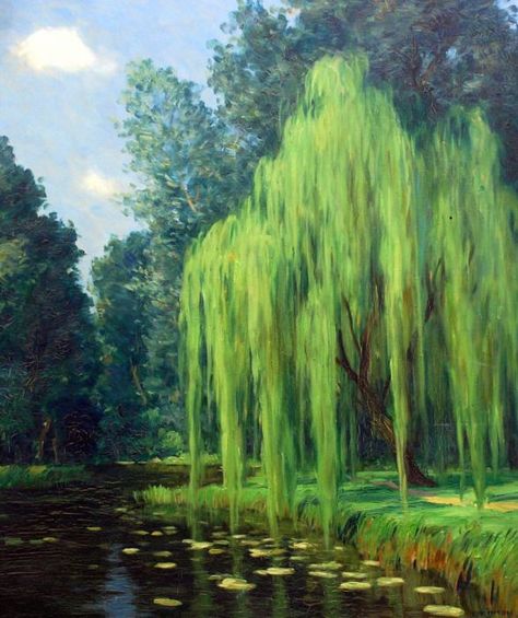 Willow Tree Art, Weeping Willow Tree, Monet Paintings, Weeping Willow, Watercolor Trees, Tree Drawing, Willow Tree, Ethereal Art, Green Foliage