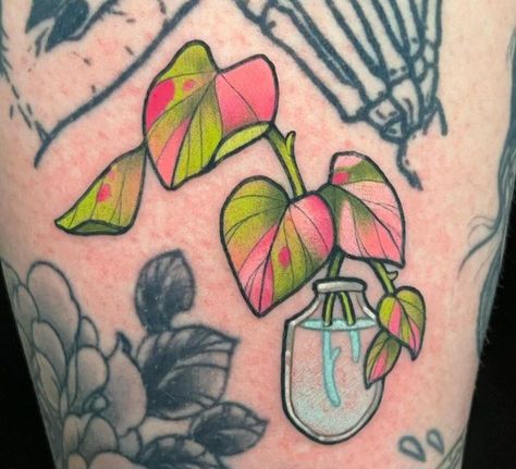 Tattoo Filler Ideas For Women, Philodendron Tattoo, Side Of Knee Tattoo, Pink Princess Philodendron, Princess Philodendron, Tattoos Love, Tattoo Filler, Flash Sheet, Plant Tattoo