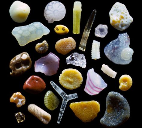 This Is How Sand Looks Magnified Up To 300 Times | Bored Panda Sand Under Microscope, Microscopic Photography, Tim Walker, Grain Of Sand, Things Under A Microscope, Yahoo News, Rare Photos, Bbc News, Lalique