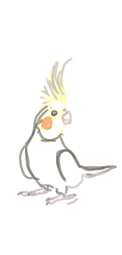 Cocktail Bird Wallpaper, Cockatoo Drawing Cute, How To Draw Cockatiel, Cocktail Bird Drawing, Cute Bird Drawing Simple, Bird Doodles Simple, Cockatiel Drawing, Cockatiel Tattoo, Cockatoo Illustration