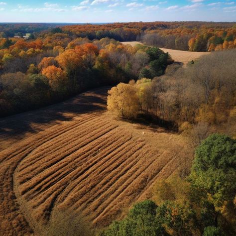 Hunting is an age-old tradition that has been passed down for generations. It’s a way to connect with nature, to challenge oneself, and to provide for oneself and one’s family. For many hunters, owning their own hunting land is a dream come true. However, finding the perfect hunting land for sale can be a daunting task. In this article, we’ll discuss some tips for finding the perfect hunting land for sale that meets your needs. Hunting Land, Game Recipes, Wild Game Recipes, Connect With Nature, Wild Game, Unique Experiences, Water Sources, A Dream Come True, Water Damage