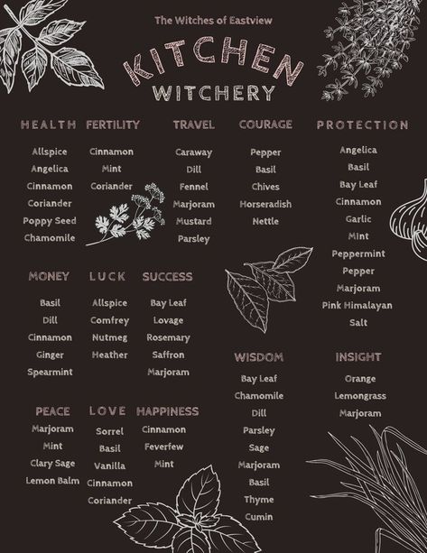 Kitchen herbs and spices used in witchcraft for the everyday witch. Magical Herbs Witchcraft, Witches Kitchen, Wicca Recipes, Kitchen Witch Recipes, Witchcraft Herbs, Witchy Kitchen, Witch Herbs, New Moon Rituals, Witch Spirituality