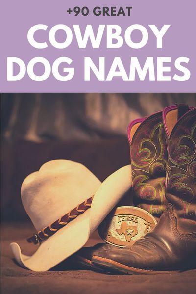 Our favorite cowboy-inspired dog names for little rascals and varmints! Male Dog Names Unique, Country Dog Names, Puppies Names Female, Dogs Names List, Black Dog Names, Dog Name Ideas, Cowboy Corgi, Cowboy Dog, Cowboy Names