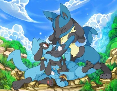 Riolu Pokemon, Latios Pokemon, Zoroark Pokemon, Lucario Pokemon, Ash Pokemon, Pokemon Waifu, Cute Pokemon Pictures, Cute Pokemon Wallpaper, Pokemon Funny