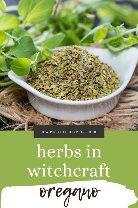 Oregano may be an herb you only associate with Italian food, but it has its own spiritual and healing properties that go way beyond pizza. Let's learn more about how to use oregano in witchcraft. #oregano #kitchenwitchcraft #witchcraft Herbs In Witchcraft, Turkish Pide, Kitchen Magick, Oregano Plant, Healing Tea, Oregano Leaves, Kitchen Witchery, Infused Oils, Kitchen Witch