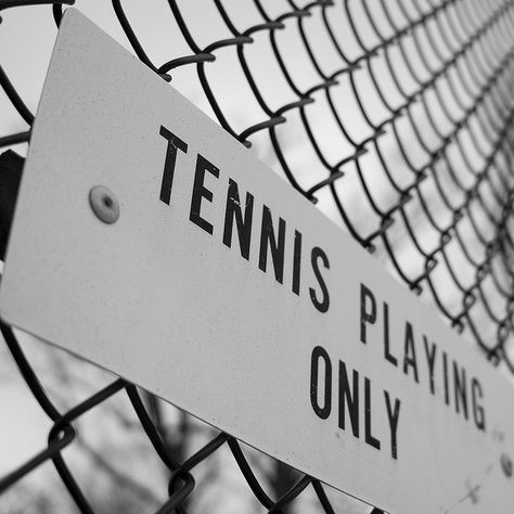 Tennis Wallpaper, Tennis Pictures, Tennis Posters, Tennis Aesthetic, Tennis Party, Tennis Quotes, Tennis Equipment, Tennis Life, Tennis Tips