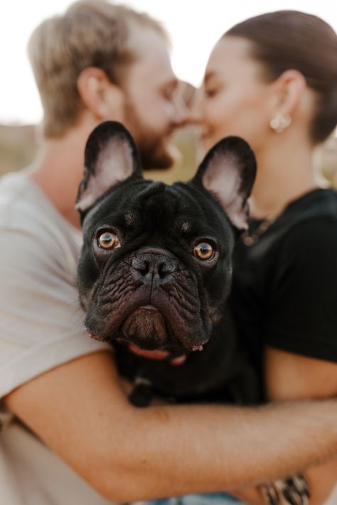 Home Couple Photoshoot Ideas With Dogs, New Dog Photoshoot, Dog Photoshoot With Couple, Couple Holiday Photos With Dog, Dog Photoshoot Ideas With Owner At Home, Family And Pet Photography, Family Pet Photoshoot, Photo Session With Dog, Couple Photo Ideas With Dog