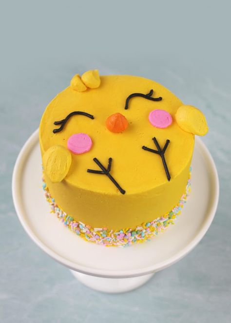 This little chick chocolate cake is big on cute and perfect for spring, Easter and baby showers, too. Cakes 2023, Easter Cake Designs, Chick Cake, Cake Challenge, Easter Cake Decorating, Bunny Cakes, Easter Deserts, Fluffy Bunnies, Easter Snacks