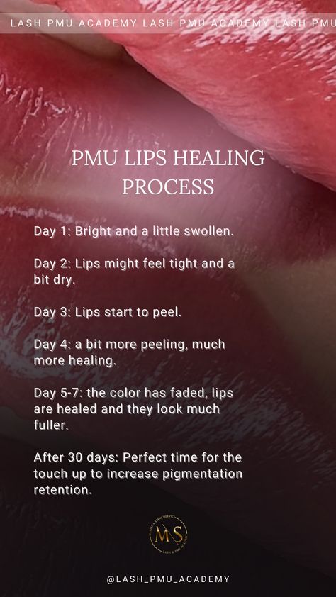 PMU Instagram Stories inspiration Editable powder brows healing eyeliner healing lips healing stories, custom made stories, SMM, template with Canva 45 unique stories for your instagram Сторис, косметология, тренды 2021, тренды 2022, тренды 2022, эстетика, оформление сторис, stories, идеи оформления, визуал, instagram story ideas, идеи сторис для инстаграм, идеи для сторис Brow Studio Ideas, Lip Shading, Pmu Lips, Blush Tips, Aftercare Cards, Lip Healing, Lip Permanent Makeup, Beauty Salon Posters, Brow Studio