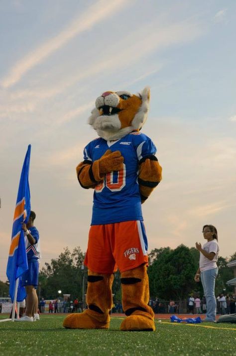 SSU's Mascot, Tiger, during the National Anthem. Mascot Photoshoot, Bear Instagram, Savannah State University, College Mascot, High School Mascots, Streetwear Ideas, Pinterest Contest, Arcade Game Room, Shot List