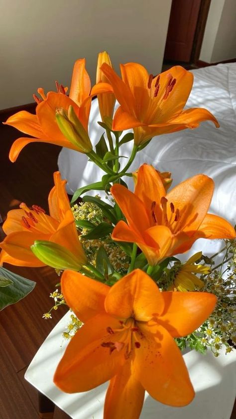 Lily Flower Orange, Orange Lily Bouquet, Orange Flower Aesthetic, Orange Flowers Aesthetic, Lily Flower Aesthetic, Orange Lilies, Orange Lily, Orange Bouquets, Flower Orange