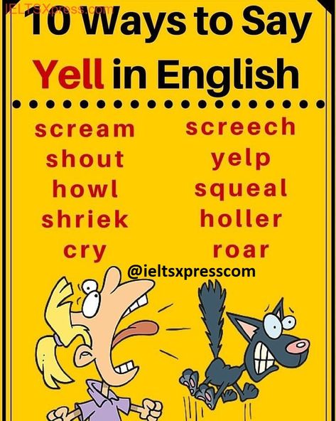 Synonyms for Yell in IELTS
.
.
.

#ielts #ieltsxpress #ieltsusa #ieltscanada #ieltswriting #ieltsspeaking #ieltsreading #ieltsvocab #ieltsgrammar #ieltswords #ieltsvocabulary #ieltstips #ieltsexam #ieltsprep Yelled Synonyms, Synonyms For Yelled, Ielts Tips, Ielts Reading, English Learning Books, Learning Books, Ielts Writing, Writing Prompts For Writers, Big Words