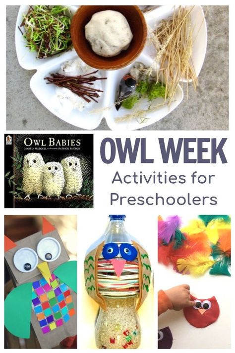 Fun week of owl themes activities for preschoolers featuring Owl Babies by Martin Waddell.  #owlbabies #preschoolactivities #owltheme #vbcforkids Owl Babies Book, Owl Crafts Preschool, Nocturnal Animals Activities, Owl Preschool, Owl Activities, Book Owl, Owl Babies, Sensory Activities For Preschoolers, Owl Theme Classroom