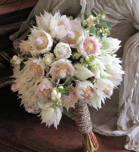 A beautiful bridal bouquet made of Blushing Bride Protea. I must teach myself to make these of sugar. Protea Bouquet Wedding, Blushing Bride Flower, White Protea, Brides Flowers Bouquet, Protea Wedding, Protea Bouquet, Pink Flower Bouquet, Beautiful Bridal Bouquet, Blush Bouquet