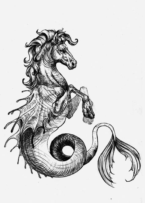 Hippocampus Mythology, Mythology Drawings, Seahorse Tattoo, Greek Mythology Tattoos, Fantasy Horses, Mermaid Drawings, Mythology Tattoos, Sea Horse, Mythical Creatures Art