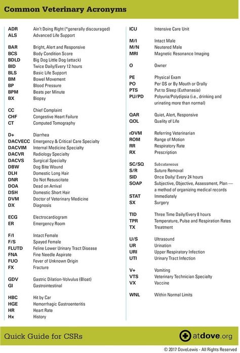 Vet Med Terminology, Veterinary Cheat Sheets, Veterinary Technician Student Notes, Vet Receptionist Cheat Sheet, Vet Tech Notes Veterinary Medicine, Vet Terminology, Veterinary Terminology, Vet Tech Cheat Sheet, Veterinarian Notes