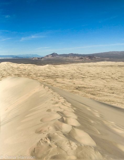 Kelso Dunes—The Singing Dunes of Arizona – Great Escapetations Kelso Dunes, Mojave National Preserve, Desert Ecosystem, Sand Surfing, San Bernardino County, Mojave Desert, Fine Sand, Joshua Tree National Park, San Bernardino