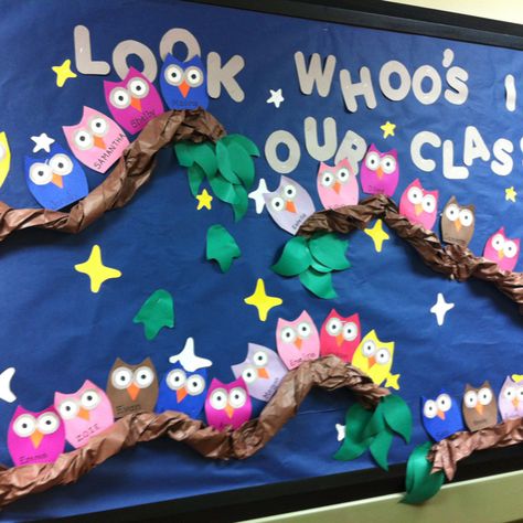 Owl bulletin board -Look whoo's in our class....Woot woot already goes with my theme and tree!!! Owl Bulletin Boards, Preschool Boards, Classroom Boards, Owl Theme Classroom, Owl Classroom, Preschool Bulletin, Preschool Bulletin Boards, School Doors, Classroom Board