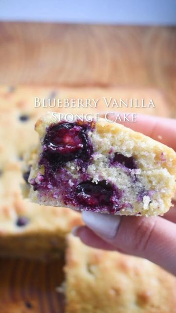 Lila Lerie | Food Content Creator on Instagram: "What fruit do you love pairing with your dessert? 🫐🍊🍑🍎 Whatever it is, you should try using it in this vanilla sponge cake recipe. I went with blueberries this time and I loved it, that pop of the warm tart berries with the sweet sponge is just next level. I've made this recipe numerous times and I just never grow tired. Recipe available on my blog or link in bio 🧾 #baking #foodstagram #eeeeeats #dessert #cake #vanilla #fruit #cooking #recipe Blueberry Sponge Cake, Vanilla Sponge Cake Recipe, Food Content Creator, Digital Cookbook, Vanilla Fruit, Sponge Cake Recipe, Vanilla Sponge Cake, Cake Vanilla, Sponge Cake Recipes