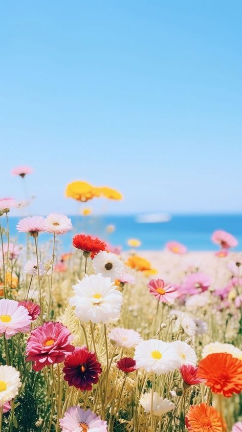 Summer wallpaper outdoors horizon blossom. | free image by rawpixel.com Wallpaper Outdoors, Spring Iphone Wallpaper, Summer Phone, Sea Aesthetic, Floral Wallpaper Phone, Cute Flower Wallpapers, Phone Background, Flower Phone Wallpaper, Wallpaper Phone