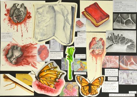 FRAYED AND TORN (Preparatory studies 2) O'LVL ART by Lany-fr on DeviantArt O Level Art, A Level Art Research Page, Leaving Cert Art Development Sheet, Artist Reaserch Page A Level, Gsce Artist Research Page, Decay Art Gcse Title Page, Sketchbook Layout, Gcse Art Sketchbook, Visual Diary