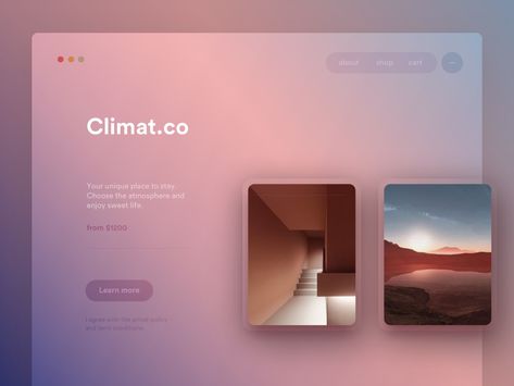 Creative Portfolio Website Design, Script Doctor, Sales Dashboard, Website Design Inspiration Layout, Card Ui, Ui Design Trends, Web Design Mobile, Ui Ux Designer, Ui Design Website