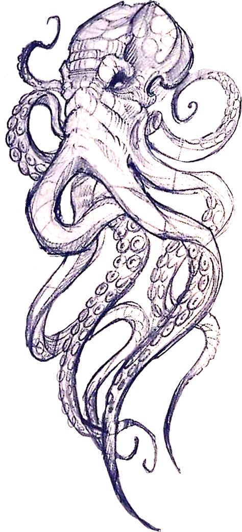 Giant Pacific Octopus Drawing, Kraken Tattoo Design Drawings, Kracken Tattoos, Kracken Drawings, Octopus Tattoo Design Drawing, Octopus Tattoo Design Sketches, Octopus Tattoo Stencil, Cthulhu Tattoo Design, Kraken Sketch