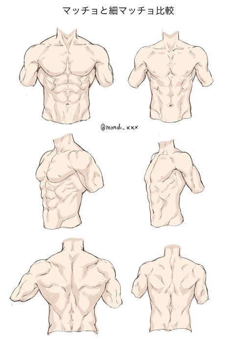 Male Body Drawing, Male Art Reference, Man Anatomy, Human Anatomy Drawing, Body Drawing Tutorial, Human Anatomy Art, Anatomy Sketches, Anatomy Poses, Body Reference Drawing