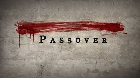 Happy Passover Images, Passover Wishes, Passover Images, Passover Greetings, Passover Lamb, Exodus 12, Passover Recipes, Easter Images, Jewish Holidays