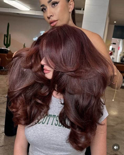 Red Hair Color With Brown Hair, Chocolate Brown Hair With Violet Undertones, Chocolate Brown Reddish Hair, Red Hair For Black Hair, Dark Cherry Brown Hair Curly, Raspberry Chocolate Hair Color, Red Toned Brunette Hair, Cherry Brown Hair Color Burgundy, Cherry Auburn Hair